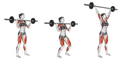 8 Highly Effective Upright Row Alternatives (With Pictures) - Inspire US