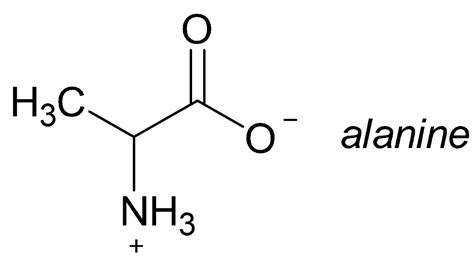 Solved The structure of the amino acid alanine is shown | Chegg.com