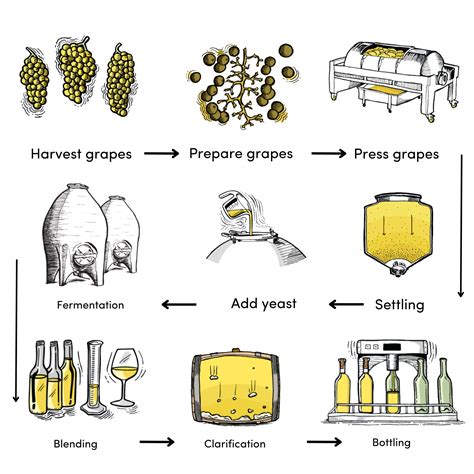 So, let's chat about the white wine making process... | De Iuliis Wines