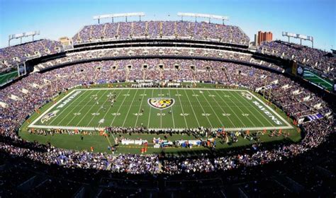 Baltimore Ravens - Stadium Dude