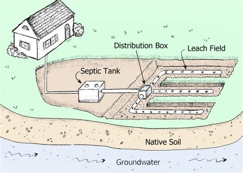 Septic Tank Drain Field Diagram