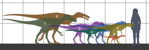 Tyrannosauroidea - Paleopedia Wiki