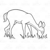 Abeka | Clip Art | Brown Deer—eating grass