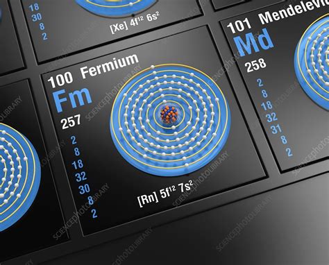 Fermium, atomic structure - Stock Image - C045/6331 - Science Photo Library