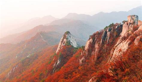 Fall foliage forecast Korea 2019 — 16 best place to see autumn leaves ...