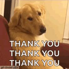 Thank You Dog Meme