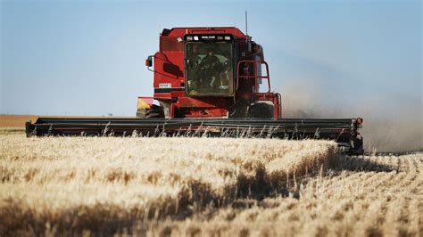 Barley harvest kicks off | The Weekly Times