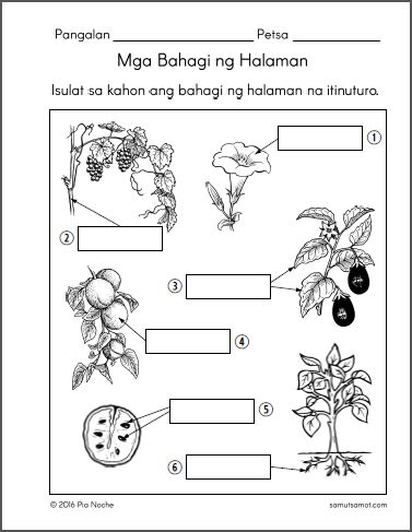 Posts about Filipino Worksheets on Samut-samot | Worksheets, Filipino ...