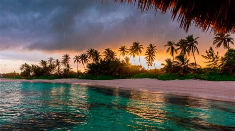 Paradise Vacation Tropical Rain HD Background - Themes10.win