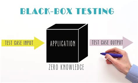 Black Box Testing Techniques for Security- Your Guide