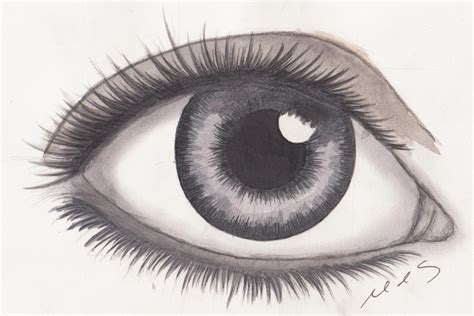 Drawing Of An Eye | New Calendar Template Site