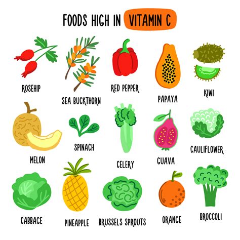 Flat vector illustration depicting foods high in vitamin C. Source of ...