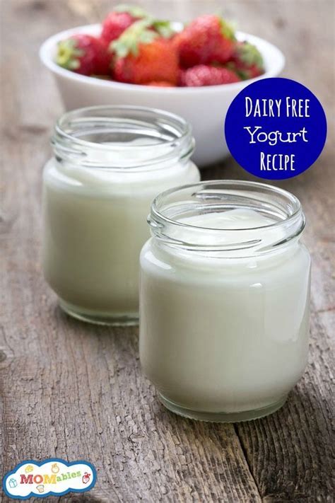 How to Make Dairy Free Yogurt | Recipe | Dairy free yogurt recipe ...