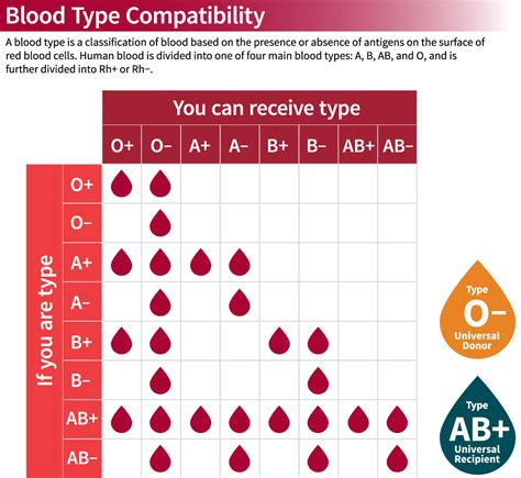 Blood Type Compatibility Chart — Stanford Blood Center