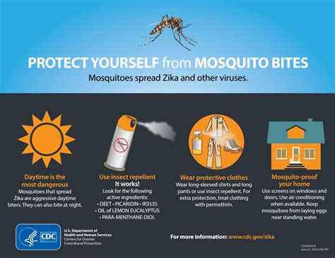 Pages - Article_Protect Yourself From Mosquito Bites