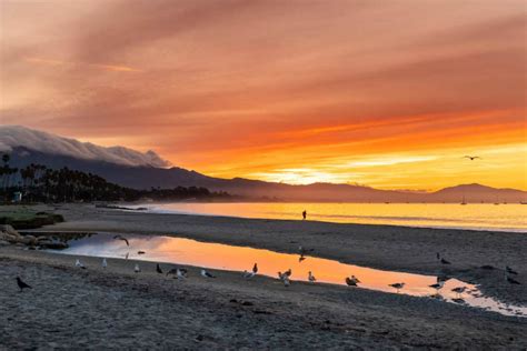 Everything You Want to Know about Santa Barbara’s Stearns Wharf