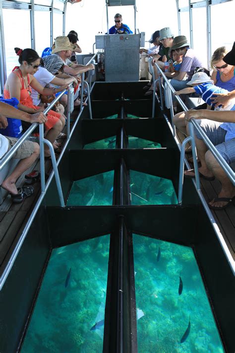 Green Island Great Barrier Reef Tour - Cairns - Australia | Great ...