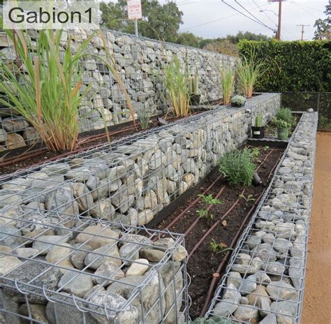 Unique Gabion Wall Garden design #Gabionwall #Wallgarden # ...