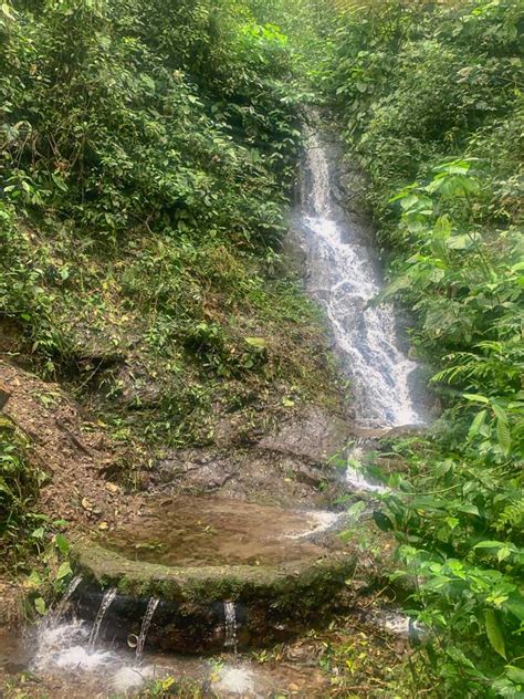 How To Visit The 7 Mindo Waterfalls In The Ecuador Cloud Forest ...