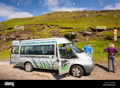 An Isle of Mull Wildlife tour showing the islands wildlife to tourists ...