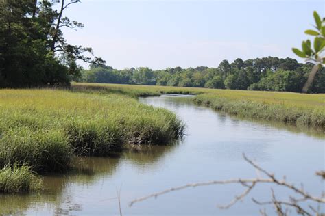 Charleston Parks (@ChasCountyParks) / Twitter