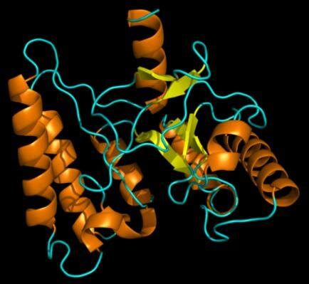 Predicted 3D structure of xylanase from P. putida produced by Phyre 2 ...