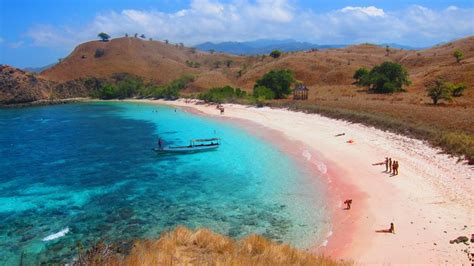 The Marvelous Pink Beach at Labuan Bajo - Indoindians.com