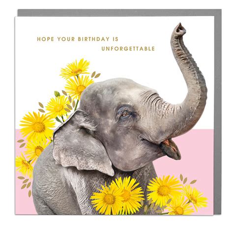 Elephant Birthday Card | ZSL Shop