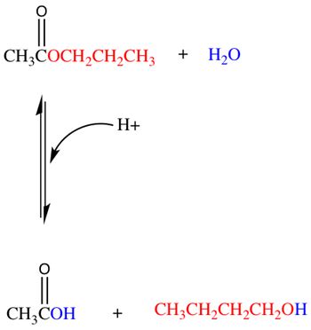 Divine Hydrolysis Chemical Equation Vectors In Mathematics Pdf