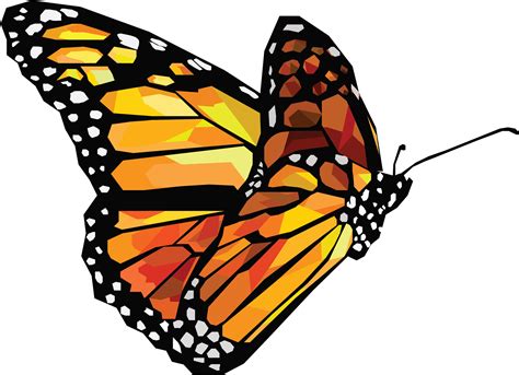 Download HD Butterfly - Butterfly Vector Png Transparent PNG Image ...