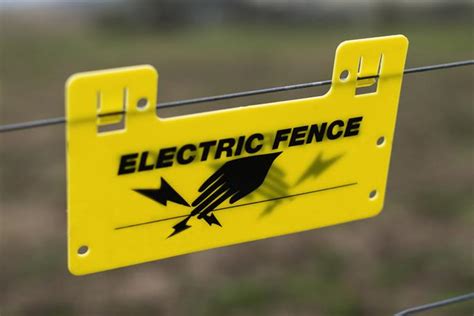 Electric fencing: Safety tips for your home | Snupit