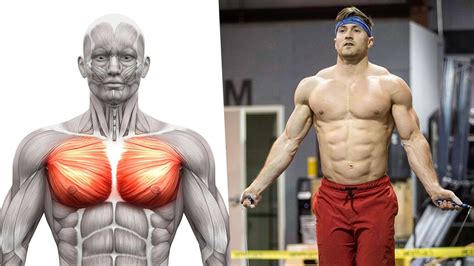 The Perfect Chest Workout in Only 20 Minutes (for Muscle and Mass) | BOXROX