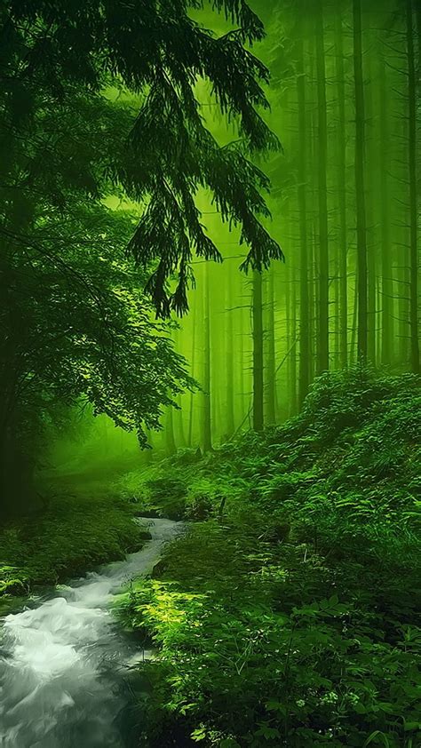 🔥 [20+] Beautiful Green Nature Wallpapers | WallpaperSafari