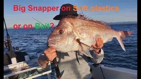 How to catch a big snapper | 85cm Snapper | Haines Signature - YouTube