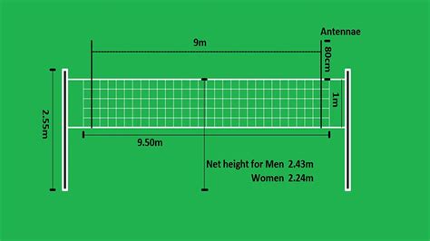 Top 7 Things To Know About The Volleyball Net Volleyball Net Height ...