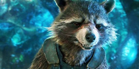 Guardians of the Galaxy: Why Does Rocket Raccoon Collect Prosthetics?