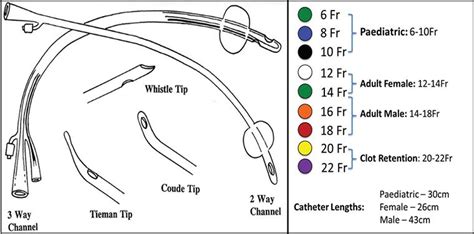 Catheter Bag, Foley Catheter, Nursing Study, Nursing School, Urinary ...