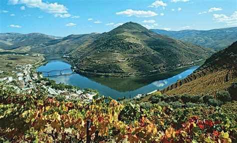 Douro Valley | CC BY-NC-ND Douro Azul | Porto Convention & Visitors ...