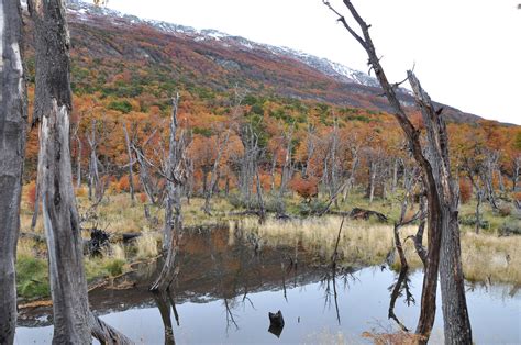 Tierra del Fuego National Park | Tierra del Fuego National P… | Flickr