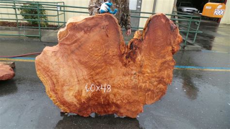 Redwood Burl Slabs – Redwood Burl Inc.