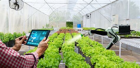 Smart Farming Service