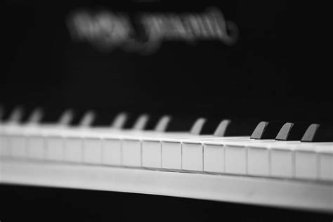 Grey Photo Of White And Black Piano Keyboard Image Free Photo