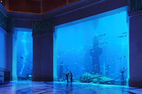 Pin de Nidale Sadek en Dubai | Hotel submarino, Fish tank, Complejo ...