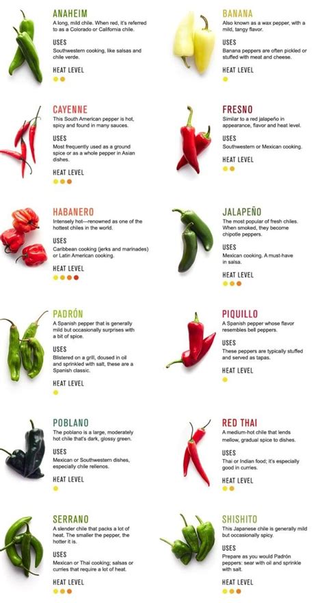 All About Chiles | Stuffed peppers, Types of chili peppers, Cooking