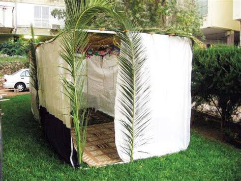 13 DIY Sukkah Plans for Sukkot