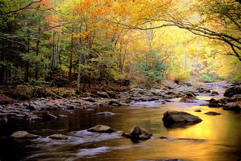 Great Smoky Mountains National Park, Tennessee, USA - Traveldigg.com