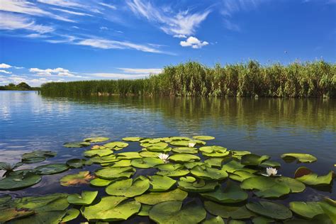 The Danube Delta & Black Sea Coast travel | Romania - Lonely Planet