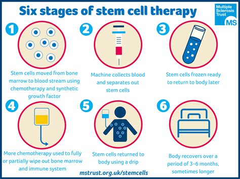 Stem cell therapy | MS Trust