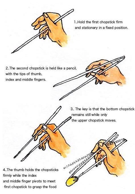 Learning | How to hold chopsticks, Chopsticks, Using chopsticks