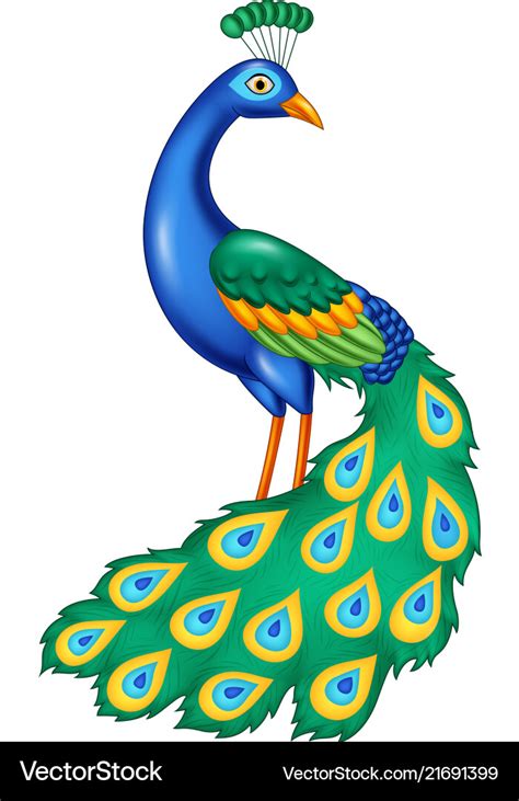 Cartoon beautiful peacock Royalty Free Vector Image